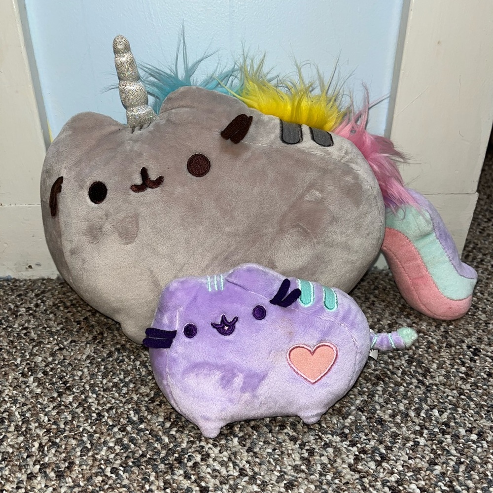 2 Pusheen Plushies